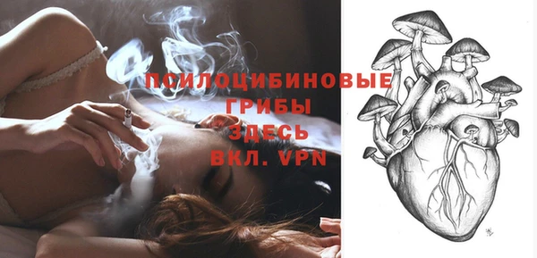кокаин перу Дмитриев