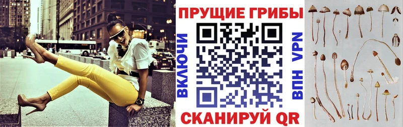 Купить закладки  Мирный  Галлюциногенные грибы Magic Shrooms 